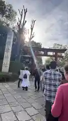 根津神社(東京都)