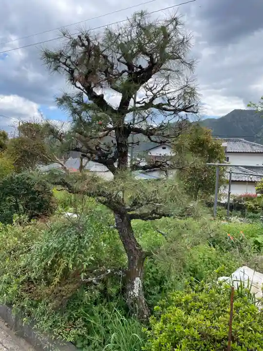 蓮華寺(兵庫県)