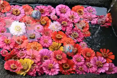 大鏑神社の手水舎