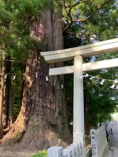 相馬中村神社のその他建物