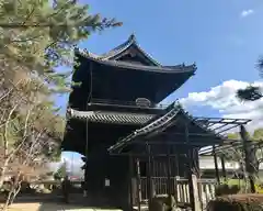 大樹寺（松安院大樹寺）の建物その他