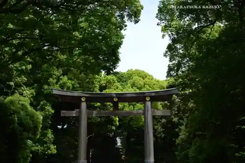 明治神宮(東京都)