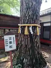 前原御嶽神社(千葉県)