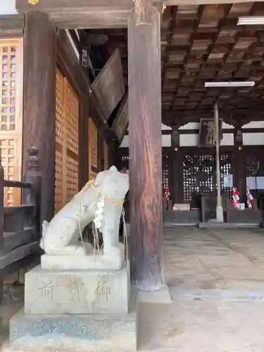 住吉神社の狛犬