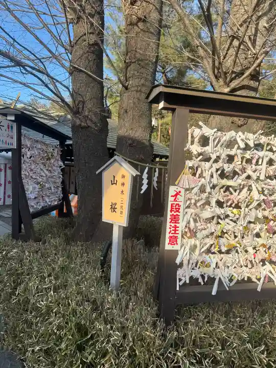櫻木神社(千葉県)