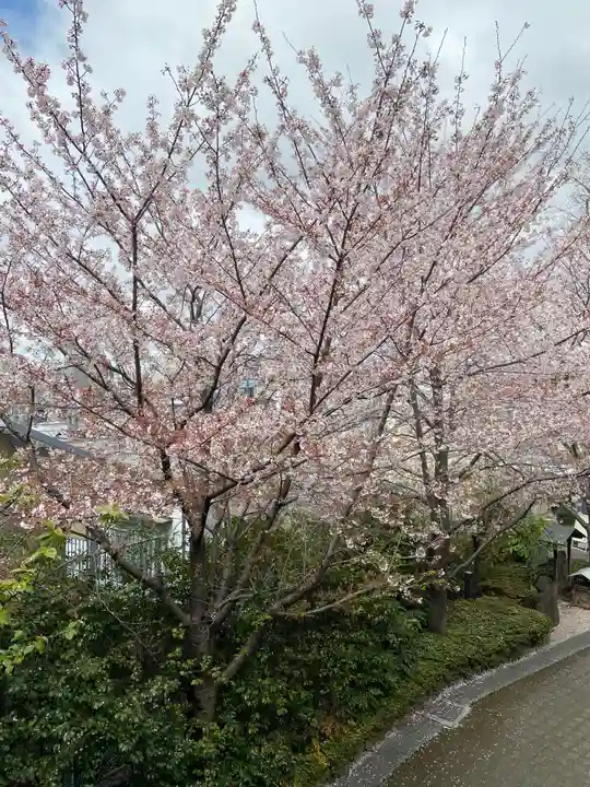 赤城神社(東京都)