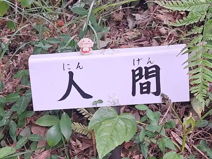 宝満寺(大分県)