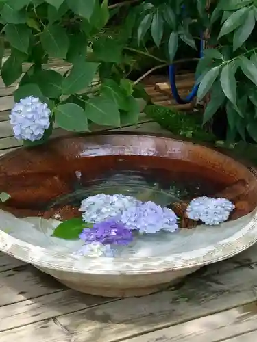 明月院(神奈川県)