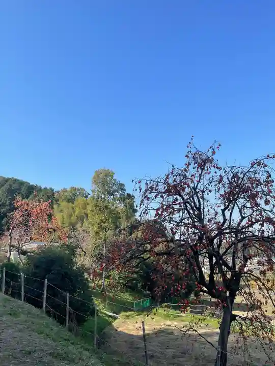 弘仁寺(奈良県)