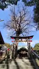 下総国三山　二宮神社の鳥居