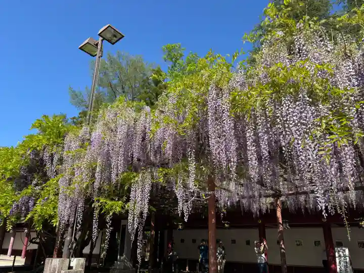 笠間稲荷神社(茨城県)