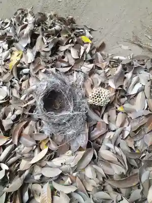 伏木香取神社(茨城県)