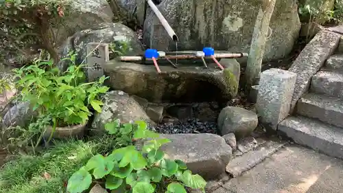 円通寺の手水舎