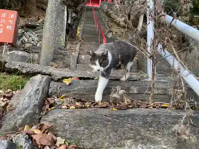 香取伊豆乃御子神社(宮城県)
