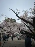 上野東照宮(東京都)