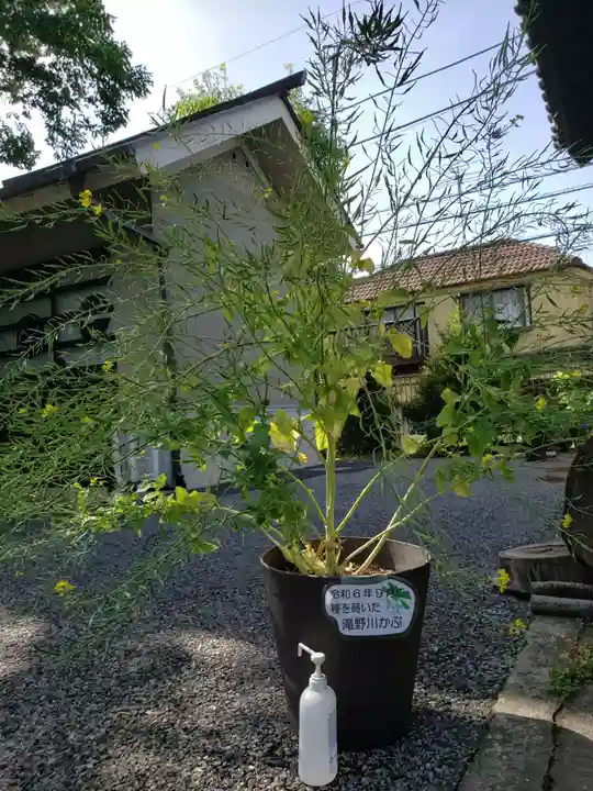 滝野川八幡神社(東京都)