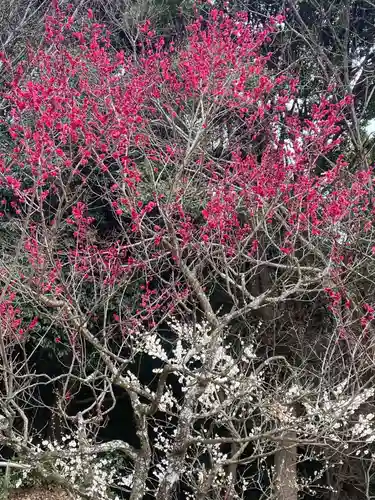 岩津天満宮(愛知県)