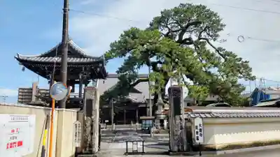 大慶寺(静岡県)