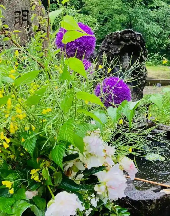 妙龍神社(新潟県)