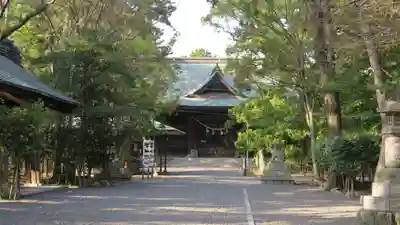 浜松八幡宮の本殿・本堂