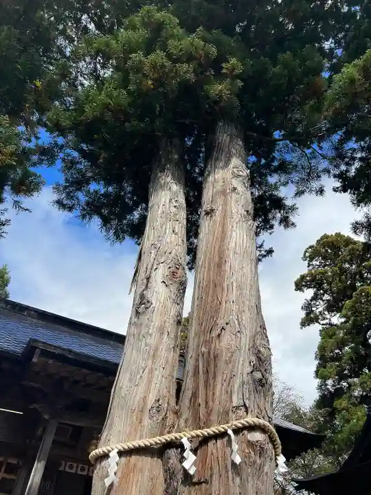 高司神社〜むすびの神の鎮まる社〜(福島県)