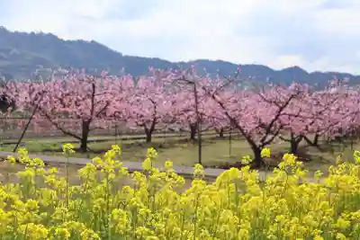 八坂神社(和歌山県)