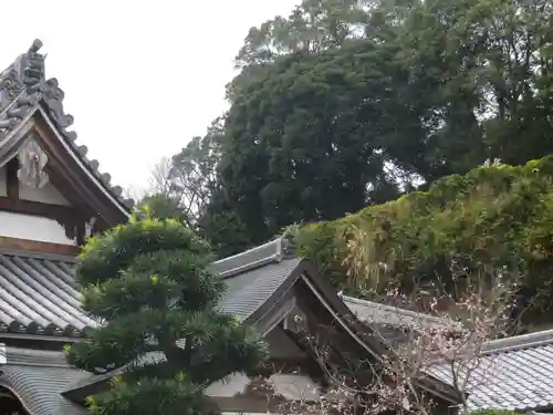 松嶺院の本殿・本堂