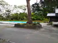 厚真神社の自然