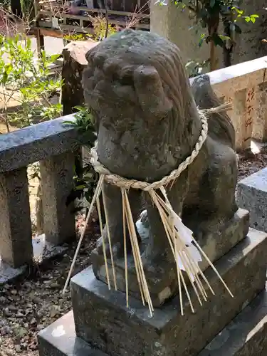 坂本八幡神社の狛犬