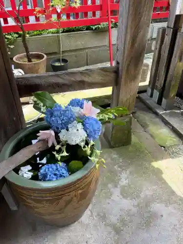 浅野川神社(石川県)