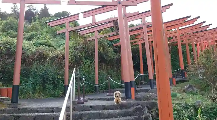 浮羽稲荷神社の{uncategorized: "未分類", other: "その他", undefined: "問題あり", building: "その他建物", grave: "お墓", sacred_gate: "鳥居", guardian: "狛犬", statue: "像", buddha: "仏像", history: "歴史", nature: "自然", garden: "庭園", animal: "動物", pagoda: "塔", temizu: "手水舎", mountain_gate: "山門・神門", sanctuary: "本殿・本堂", subordinate: "末社・摂社", art: "芸術", scenery: "景色", jizo: "地蔵", ema: "絵馬", goshuin: "御朱印", omikuji: "おみくじ", items: "授与品その他", amulet: "お守り", goshuincho: "御朱印帳", eats: "食事", festival: "お祭り", votive_dance: "神楽", shichigosan: "七五三参", wedding: "結婚式", experience: "体験その他", initially: "初詣", around: "周辺", anti_infection: "感染症対策"}