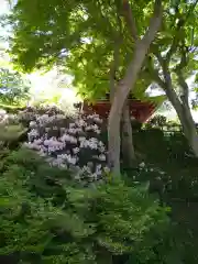 岡寺（龍蓋寺）(奈良県)