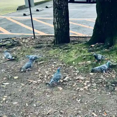 川口神社(埼玉県)