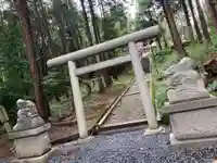眞名井神社(籠神社奥宮)の鳥居