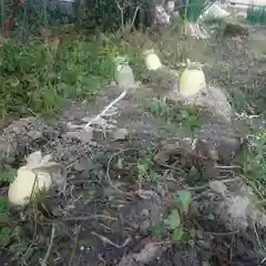 天神社（治郎丸東）の自然