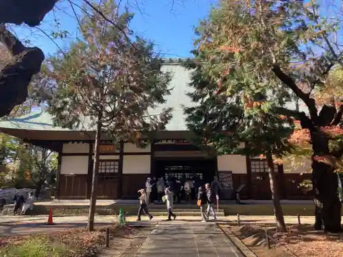淨眞寺(東京都)