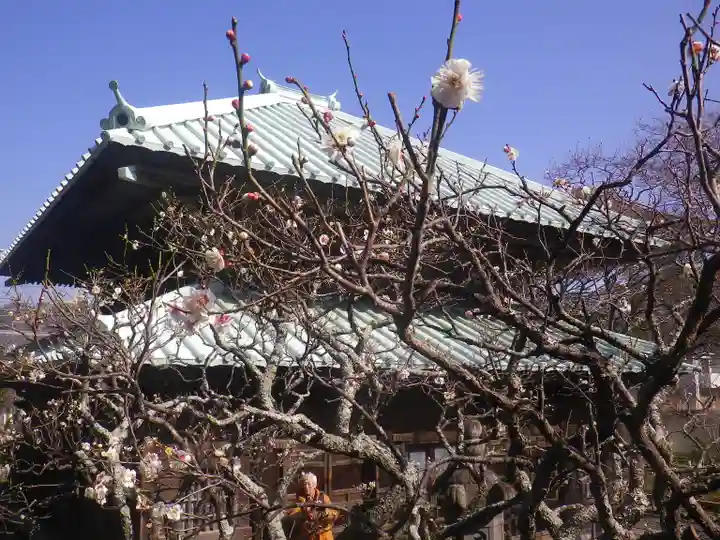 英勝寺の本殿・本堂