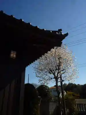 泉福寺のその他建物