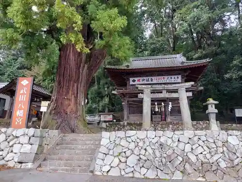 武田八幡宮(山梨県)