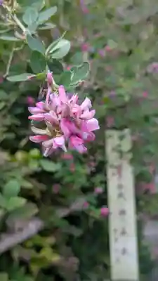 梨木神社(京都府)