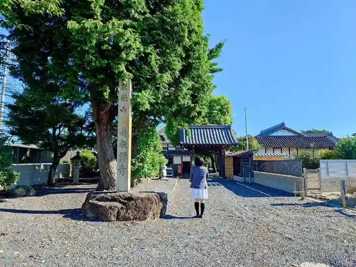 寿教寺の山門・神門