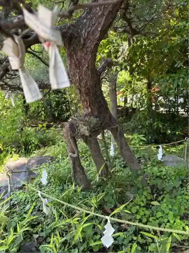 進雄神社(群馬県)