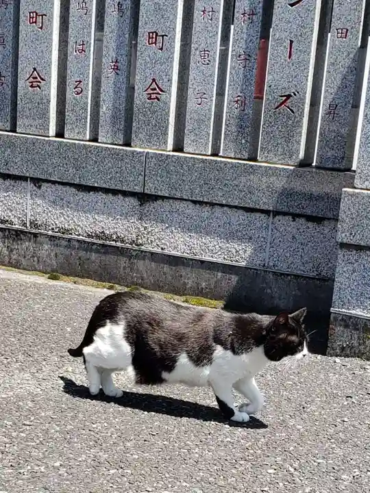 白金氷川神社(東京都)