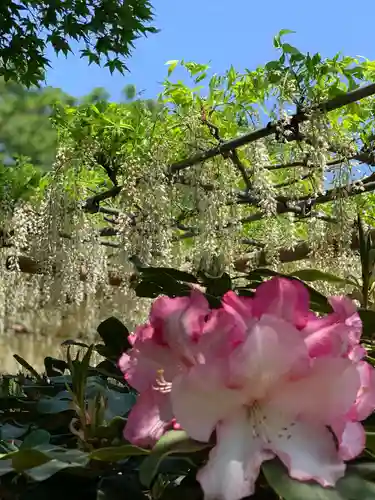 曼陀羅寺の自然