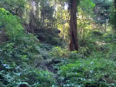 八幡神社の周辺