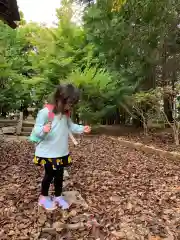 滑川神社 - 仕事と子どもの守り神の体験その他