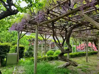 亀戸天神社(東京都)