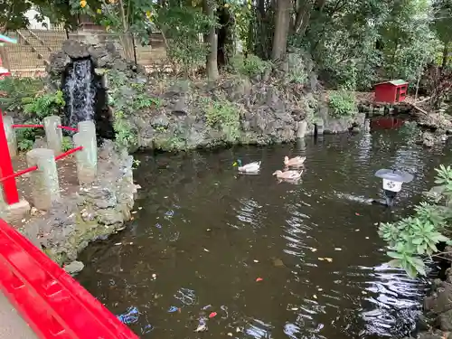 世田谷八幡宮(東京都)