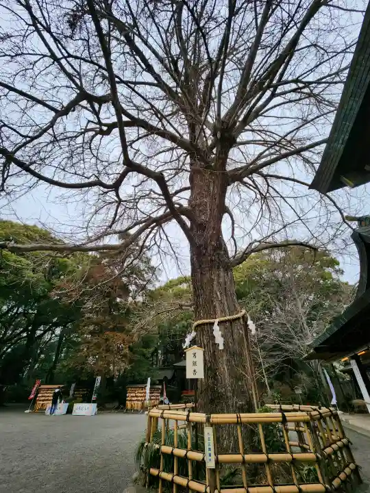 大宮八幡宮の{uncategorized: "未分類", other: "その他", undefined: "問題あり", building: "その他建物", grave: "お墓", sacred_gate: "鳥居", guardian: "狛犬", statue: "像", buddha: "仏像", history: "歴史", nature: "自然", garden: "庭園", animal: "動物", pagoda: "塔", temizu: "手水舎", mountain_gate: "山門・神門", sanctuary: "本殿・本堂", subordinate: "末社・摂社", art: "芸術", scenery: "景色", jizo: "地蔵", ema: "絵馬", goshuin: "御朱印", omikuji: "おみくじ", items: "授与品その他", amulet: "お守り", goshuincho: "御朱印帳", eats: "食事", festival: "お祭り", votive_dance: "神楽", shichigosan: "七五三参", wedding: "結婚式", experience: "体験その他", initially: "初詣", around: "周辺", anti_infection: "感染症対策"}