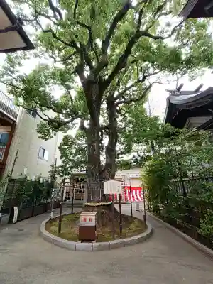 溝口神社(神奈川県)